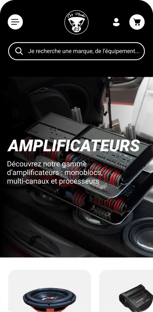 Exemple d'écran mobile : Accueil