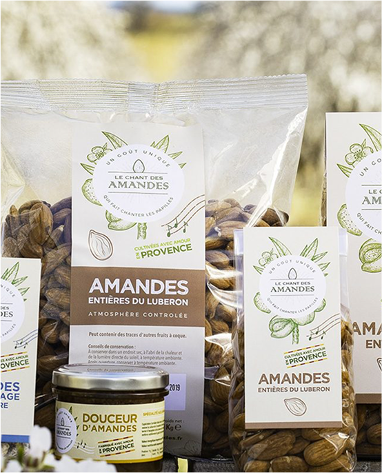 Projet Le Chant des Amandes